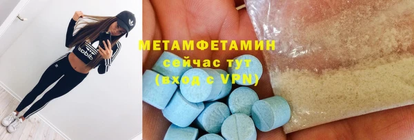 прущие грибы Богданович