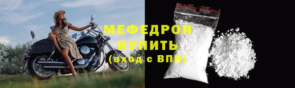 прущие грибы Богданович