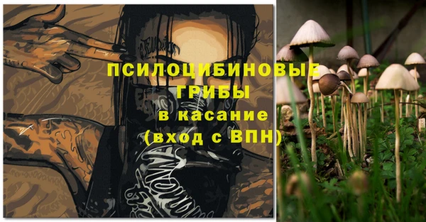 прущие грибы Богданович
