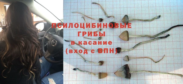 каннабис Белокуриха