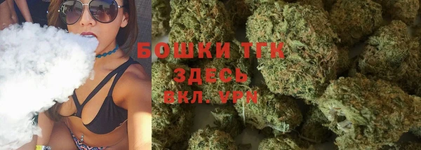 прущие грибы Богданович