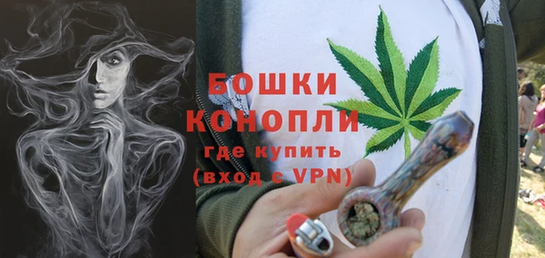ECSTASY Богородицк