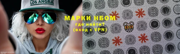 прущие грибы Богданович